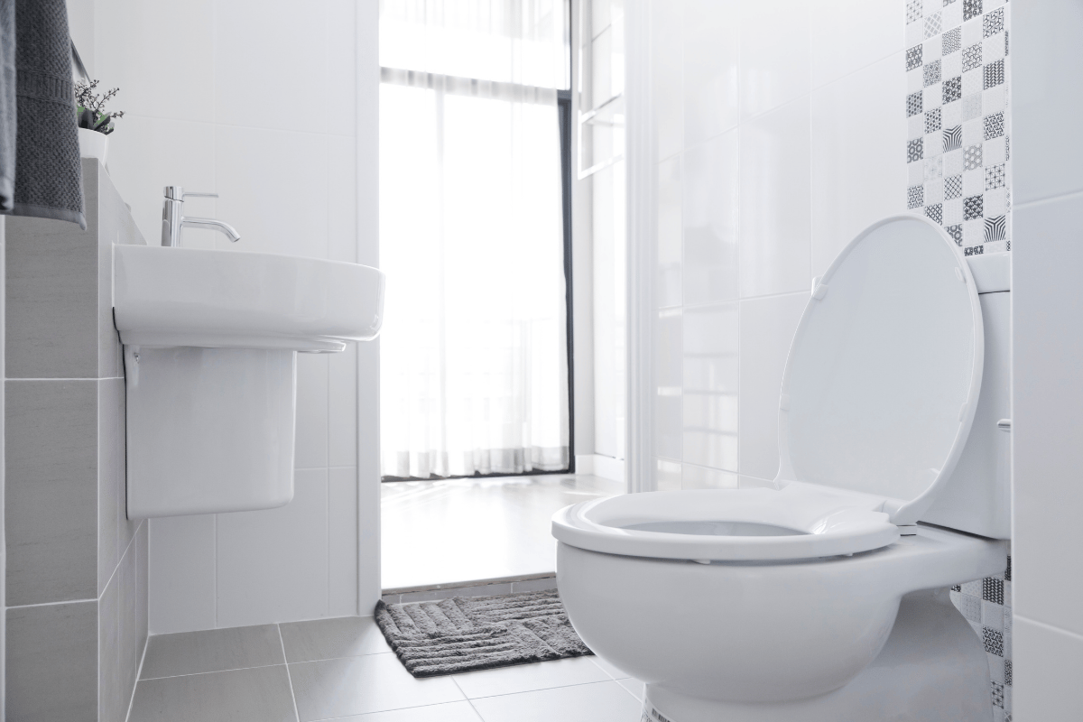 Toilet Repairs And Replacements With F.H. Furr