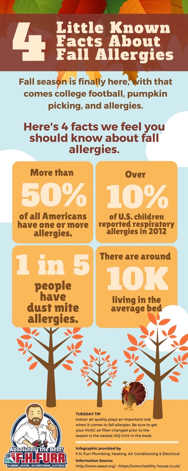 4 Little Known Facts About Fall Allergies