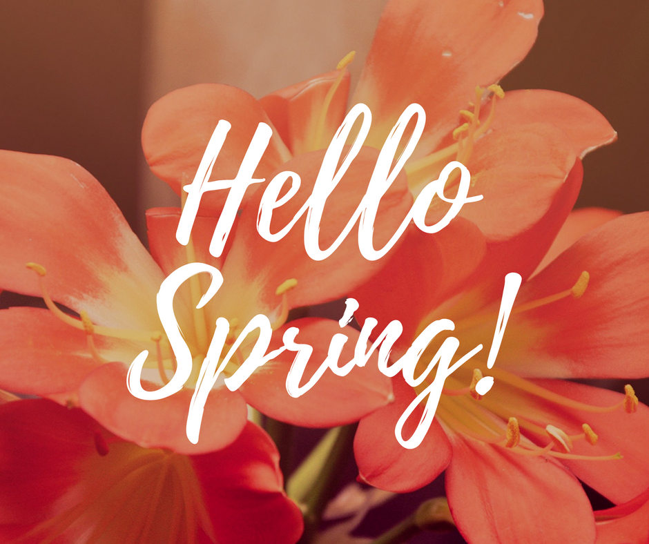 Spring Has Sprung! Time To Clean The Ducts!
