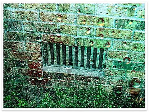 Uncovering the Truth About Crawl Space Encapsulation