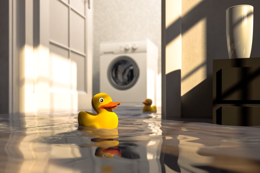 How To Pick The Perfect Water Alarm For Your Home!