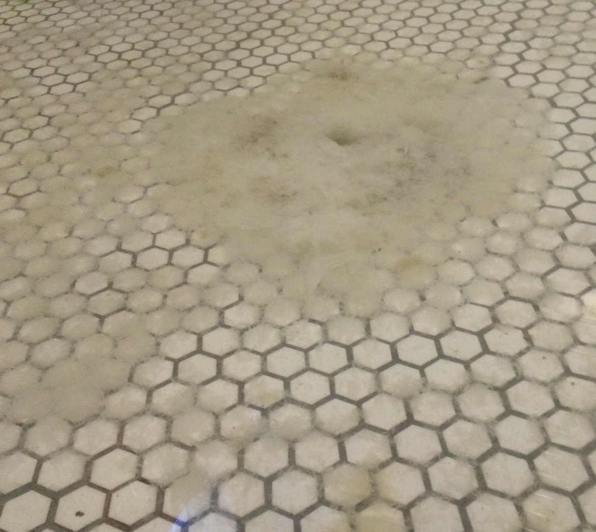 4 Things I Learned During My Plumbing Crisis